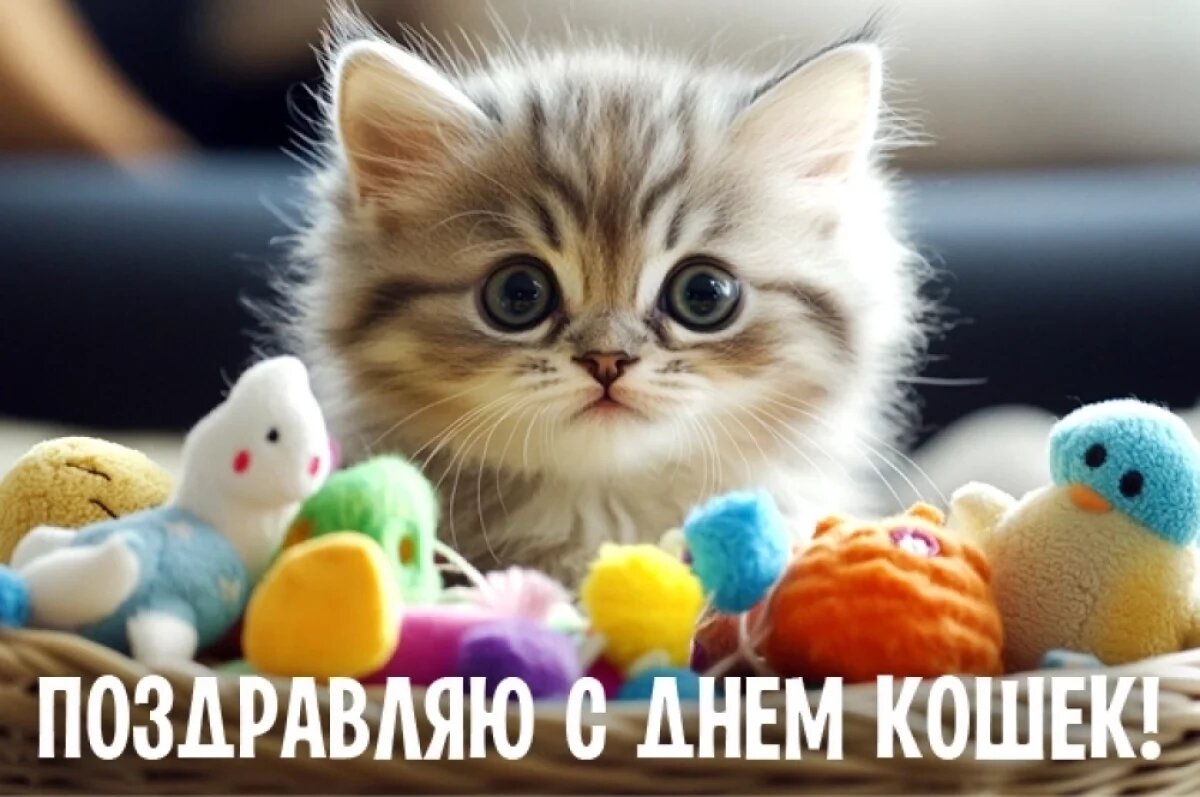    С Днём кошек-2026!