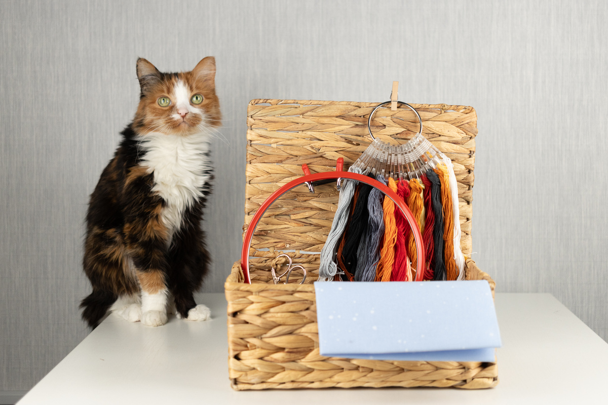 Несмеяна помогает начинать процесс