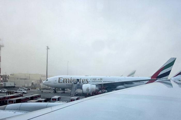 Обложка © ТАСС / EPA / ALI HAIDER