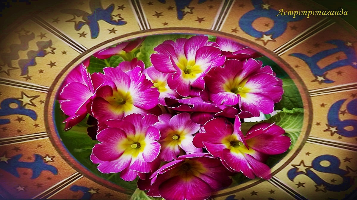 Гороскоп на неделю со 2 по 8 марта 2026: каждый день события | Недельный гороскоп