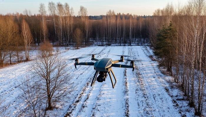 Обложка © Шедеврум / Life.ru