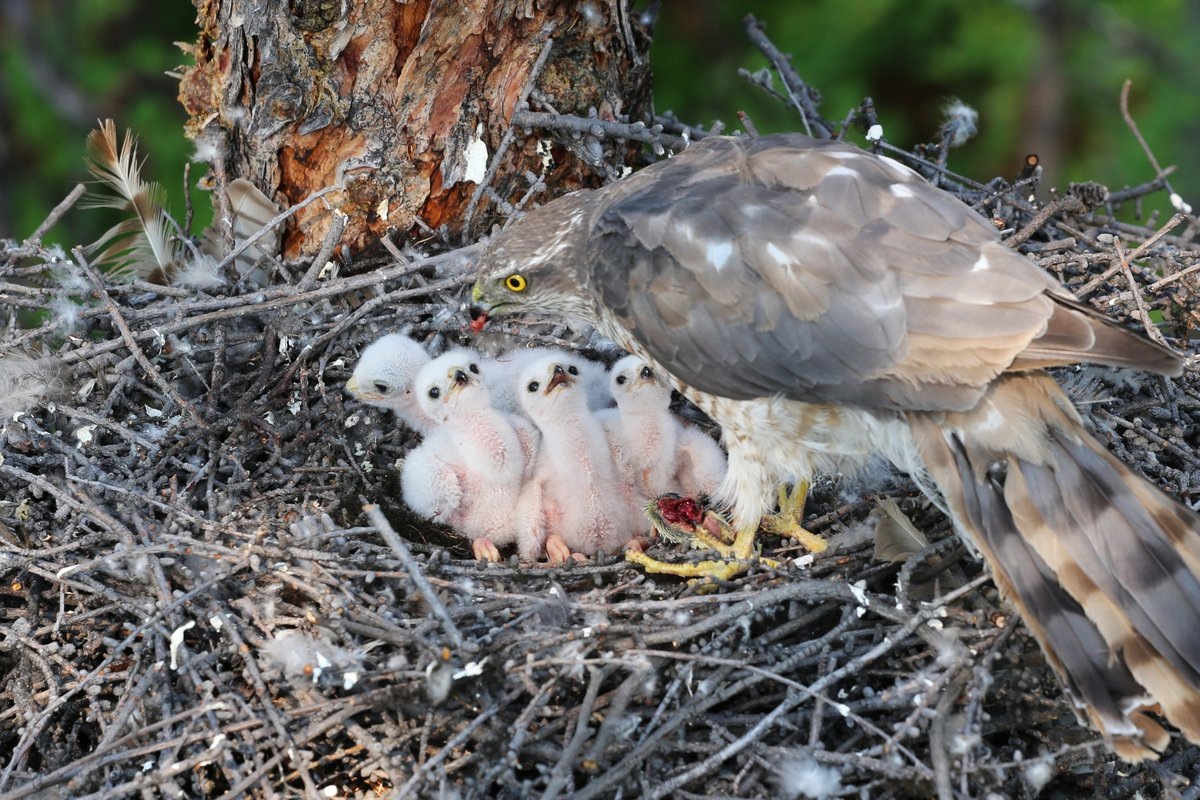 Фото с сайта: https://rtraveler.ru/photo/65979/