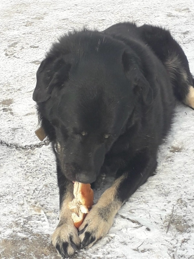     Фото: "МК в Калуге"