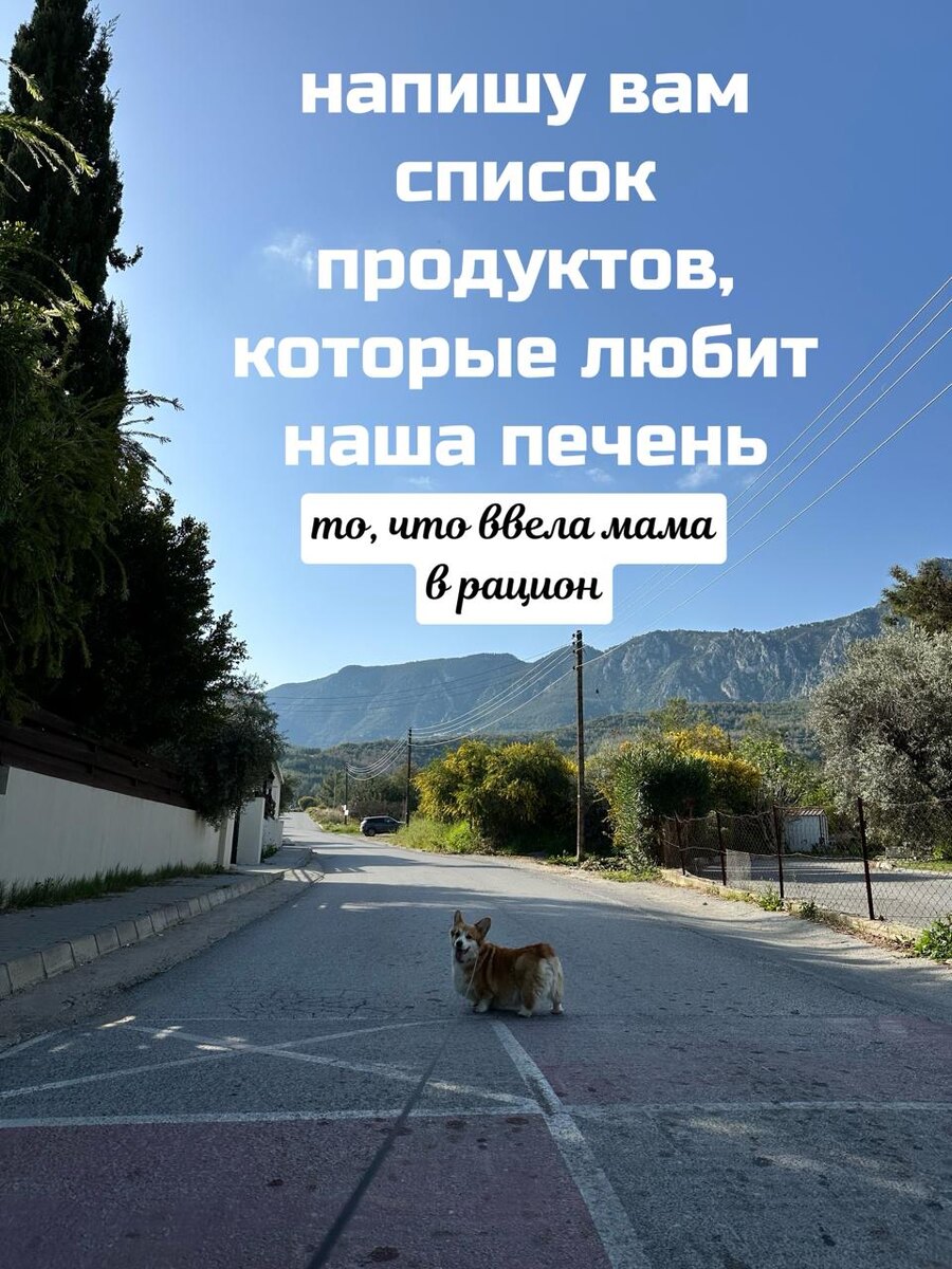 Это Бильбо. У него с печенью все в порядке 😀