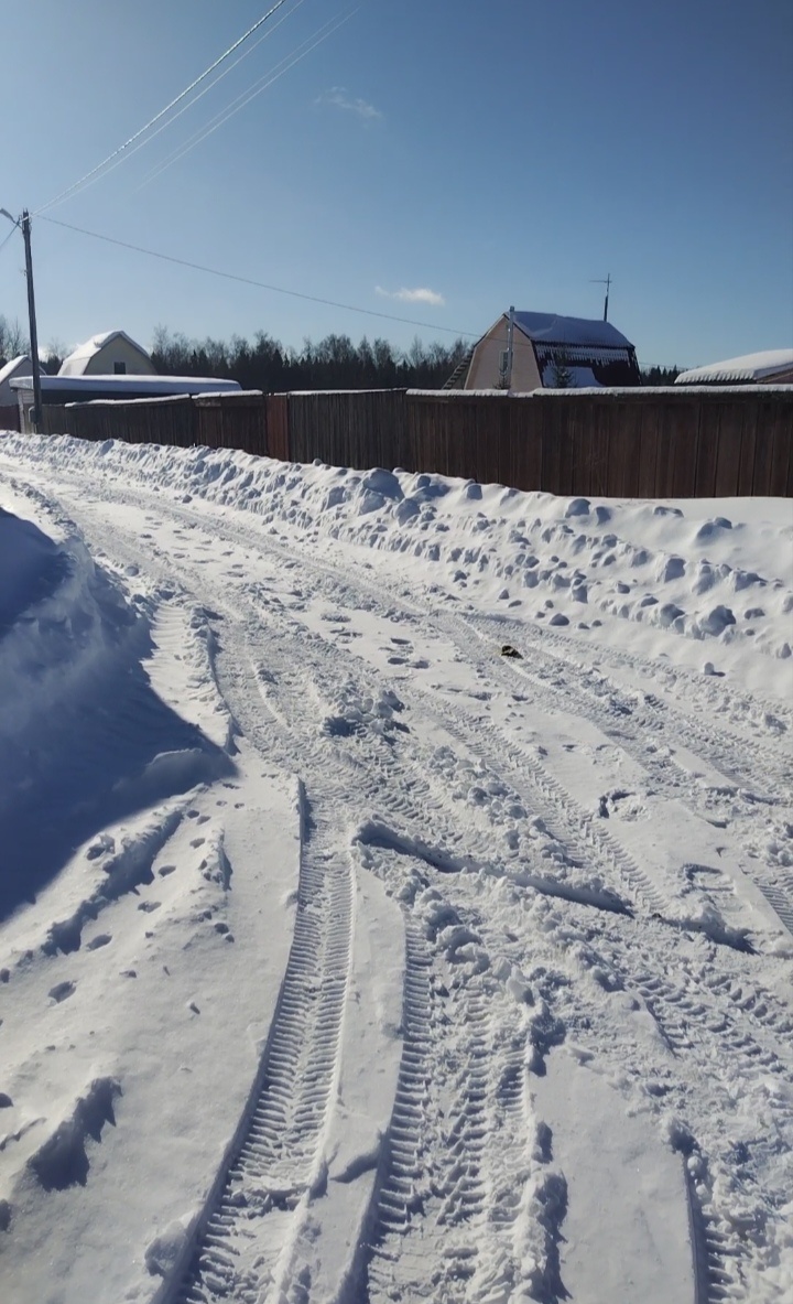 Весеннее солнце. 