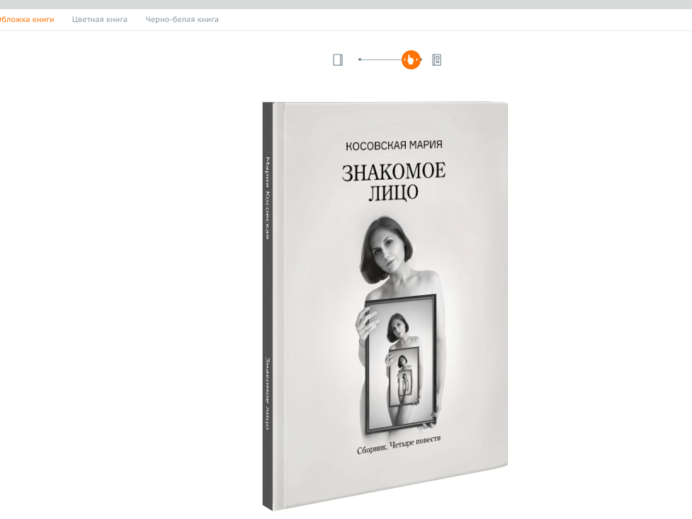 Так выглядит предпросмотр обложки