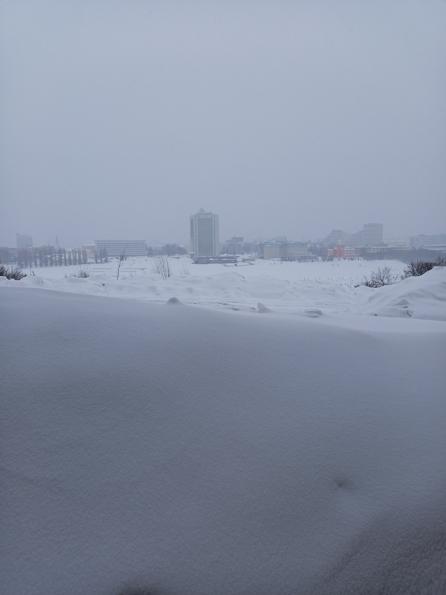 Вот такая метель у нас с утра