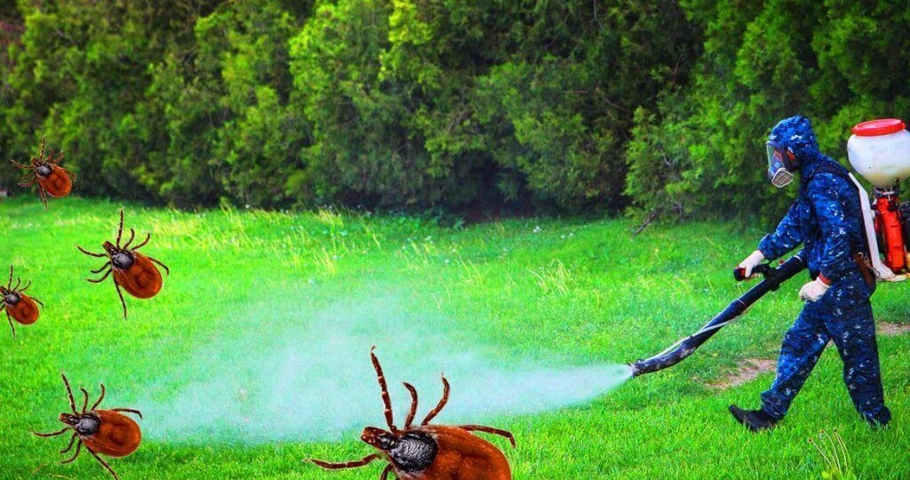 Защита от клещей: Полное руководство для садоводов и любителей природы