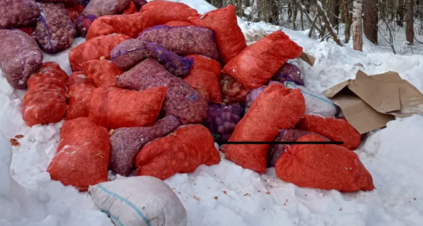    Фото: vk.com/zlo43