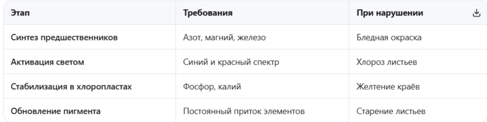 Процесс синтеза хлорофилла