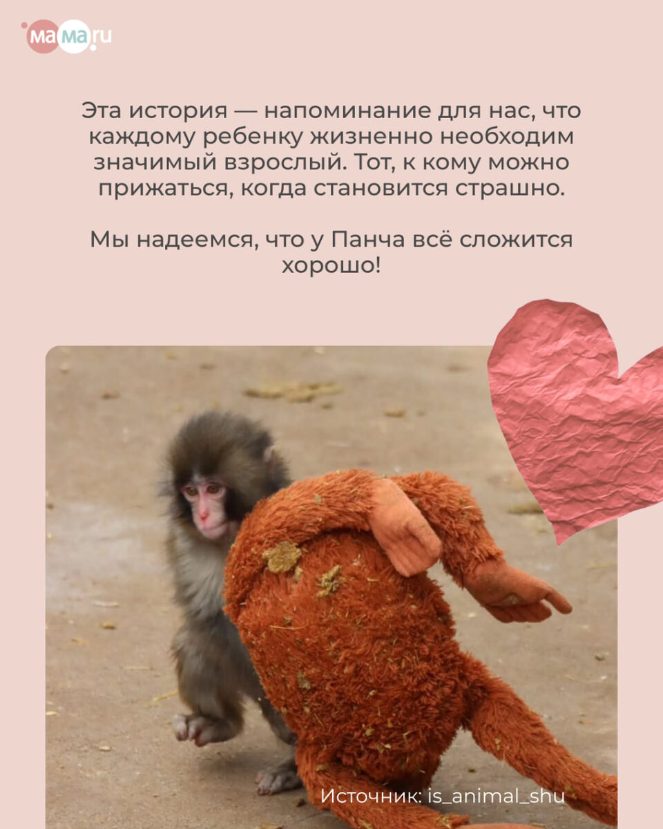 История Панча