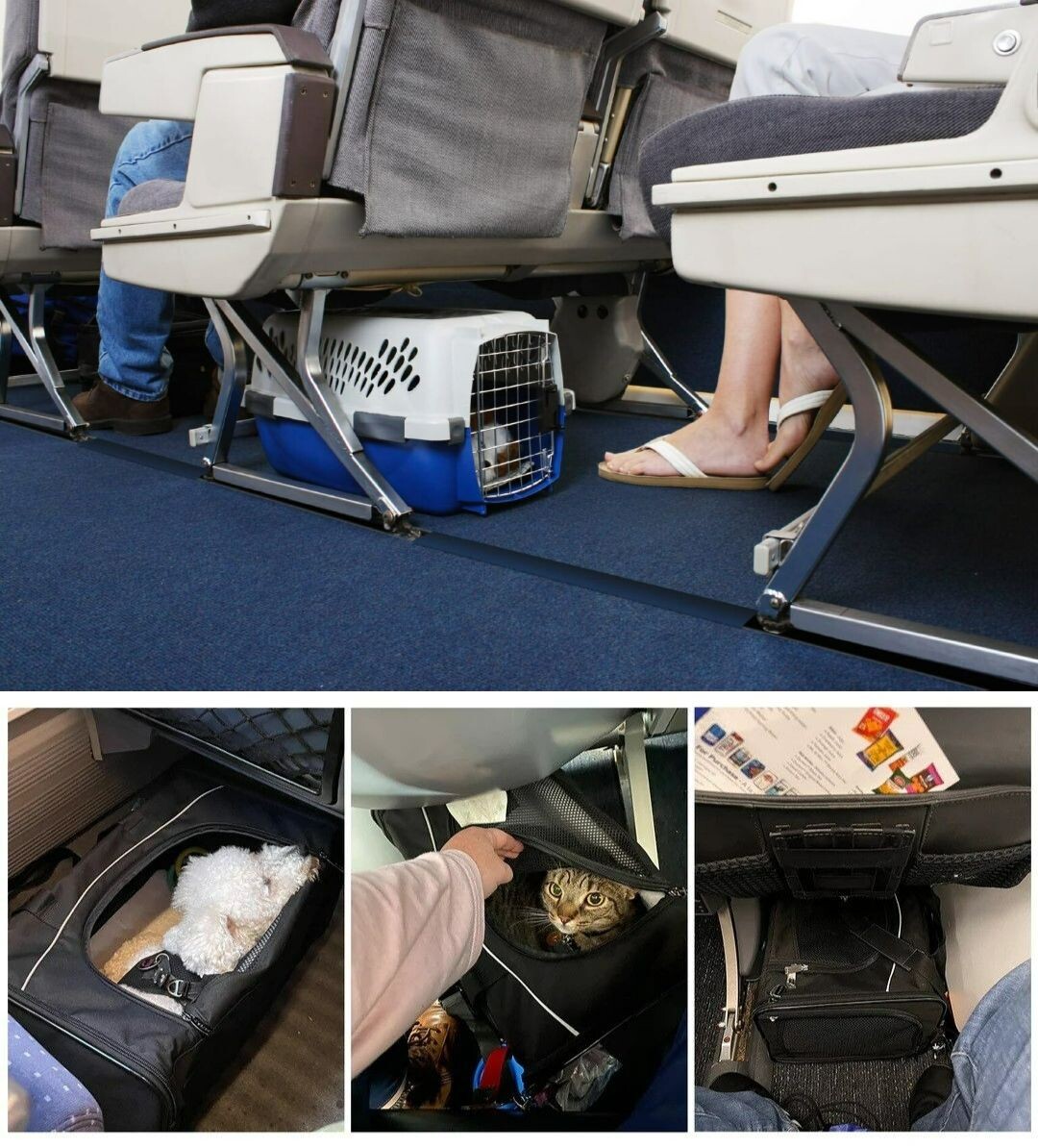    Перевозка животных в салоне (под сиденьем). Источники изображений: th.by, petsfit.com