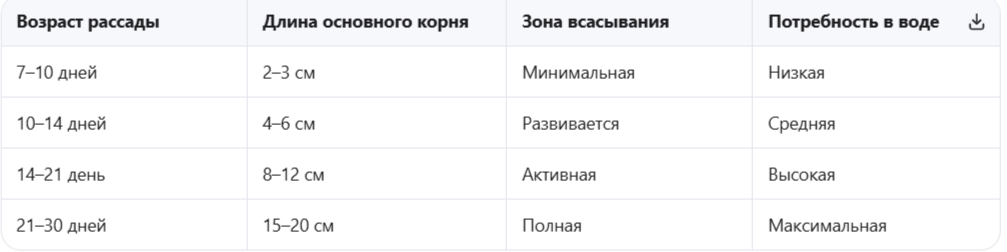 Характеристики корневой системы рассады