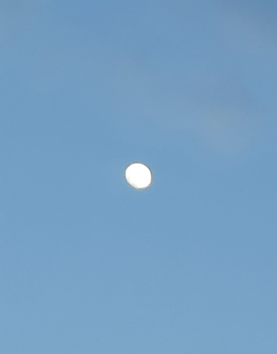 Луна. Фото автора 