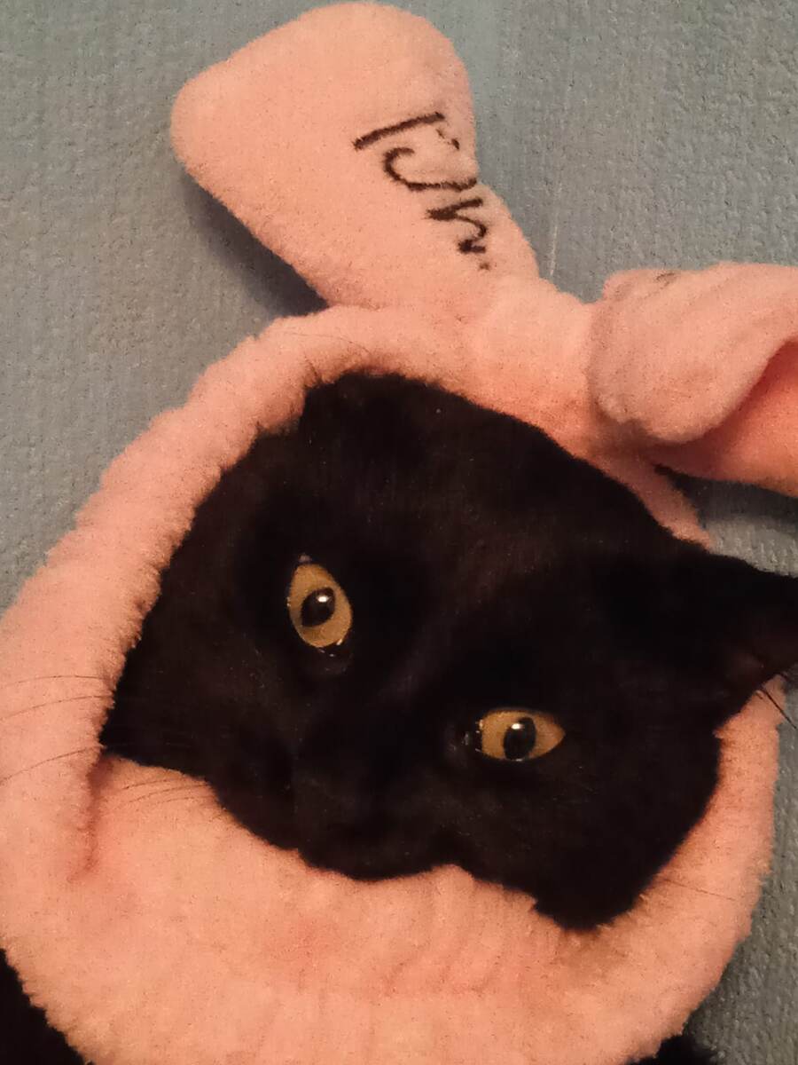 Кроликотик