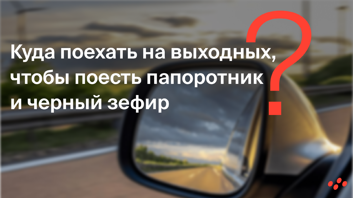 Источник: лизинговая компания CARCADE