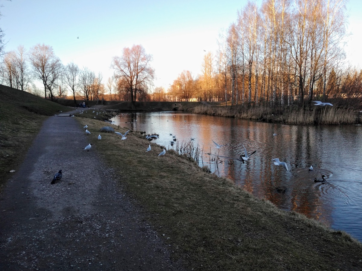 Пейзажи при беге