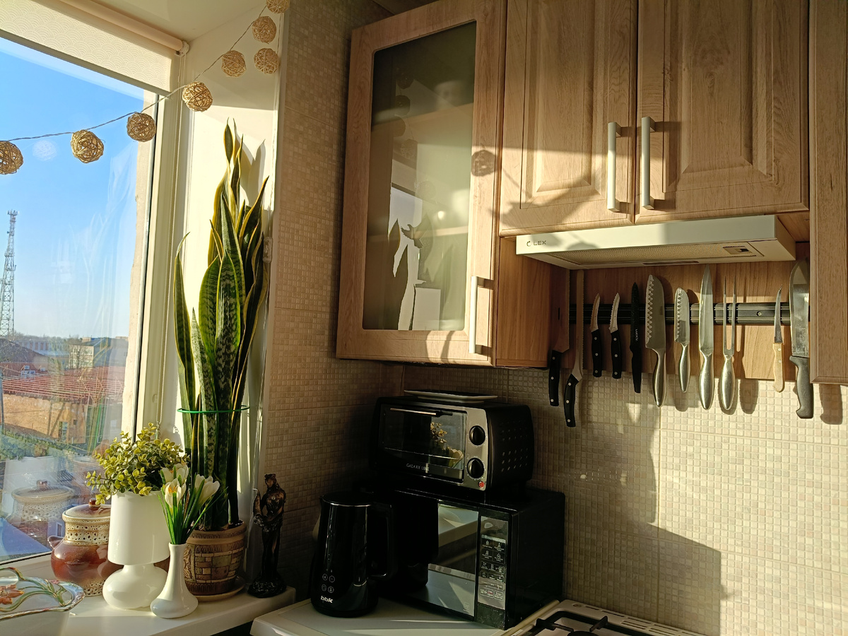 Фото вчерашнего дня