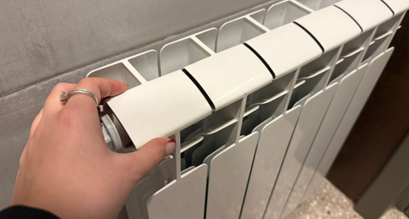    Автор фото — Анастасия Козлова