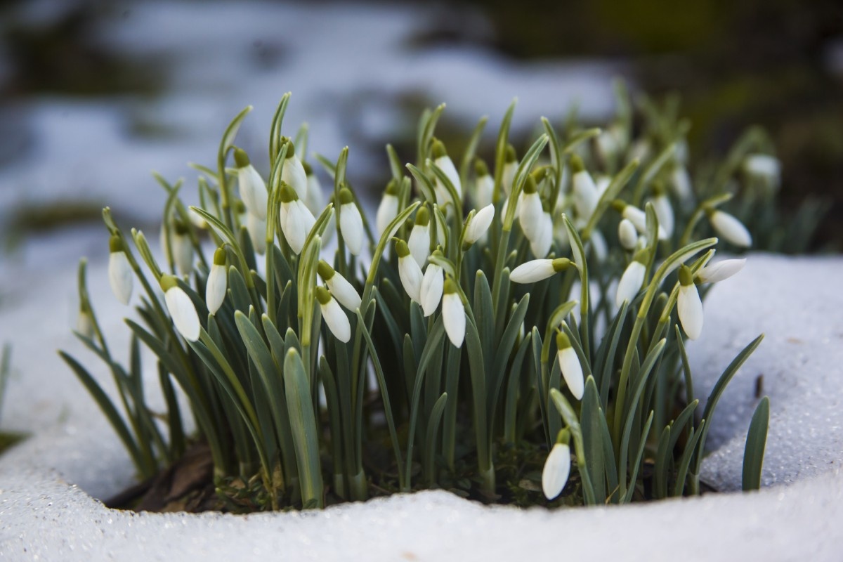    Фото: Wirestock / Freepik.com