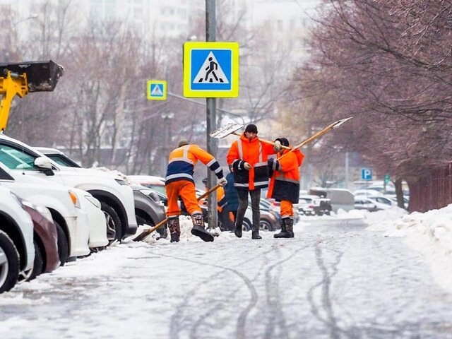    Фото: Москва 24/Лидия Широнина