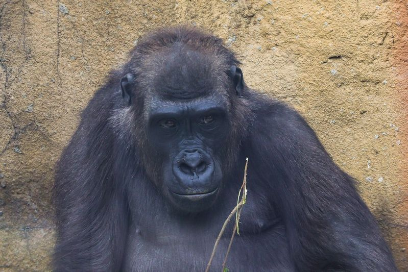    Наталья Шатохина/NEWS.ru