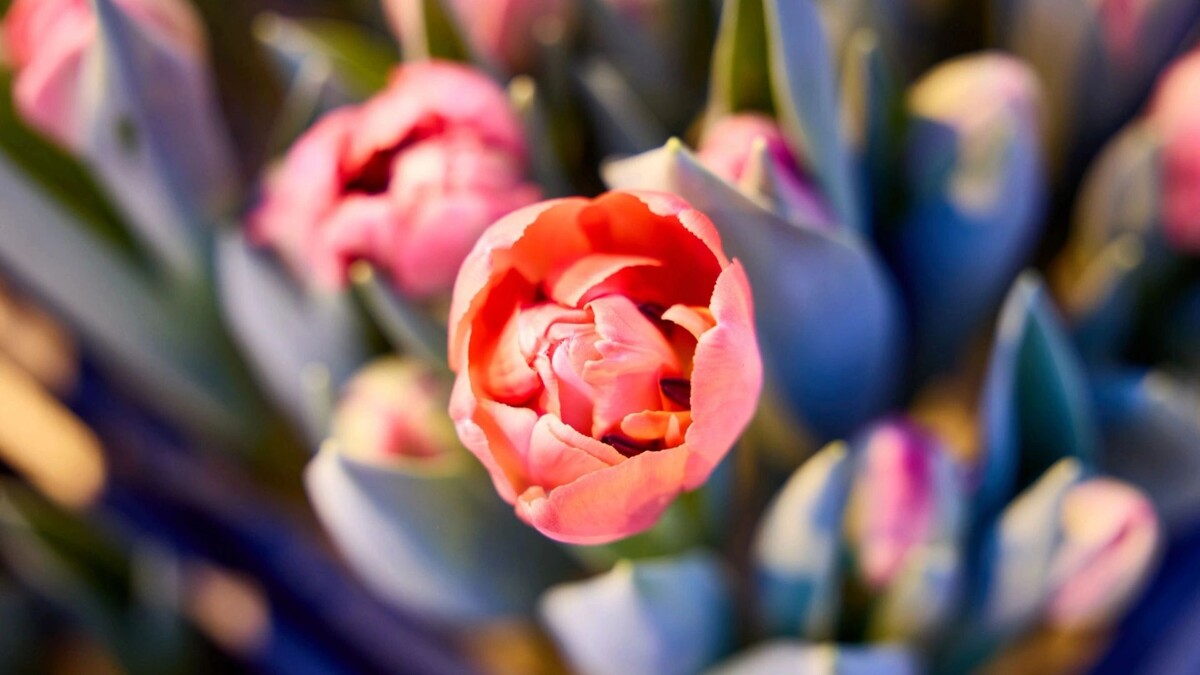    Фото: Юрий Здебский/«Ямал-Медиа»