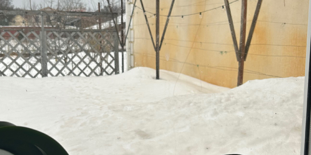 Практический совет по астрономии и физике для тех, кто выбирает место для выращивания северного винограда в открытом грунте