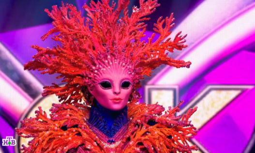 Фото взято из открытых источников