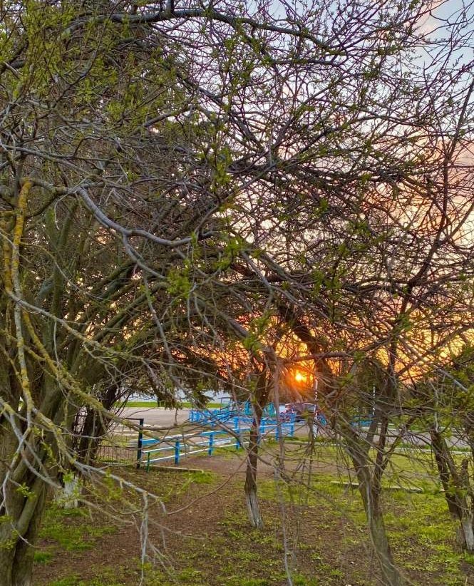    фото: Людмила Сахарчук Веселовские вести