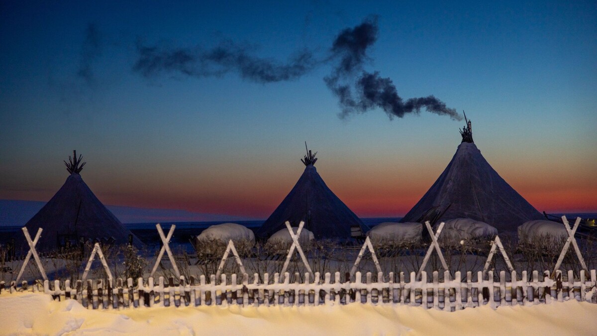    Фото: Федор Воронов / «Ямал-Медиа»