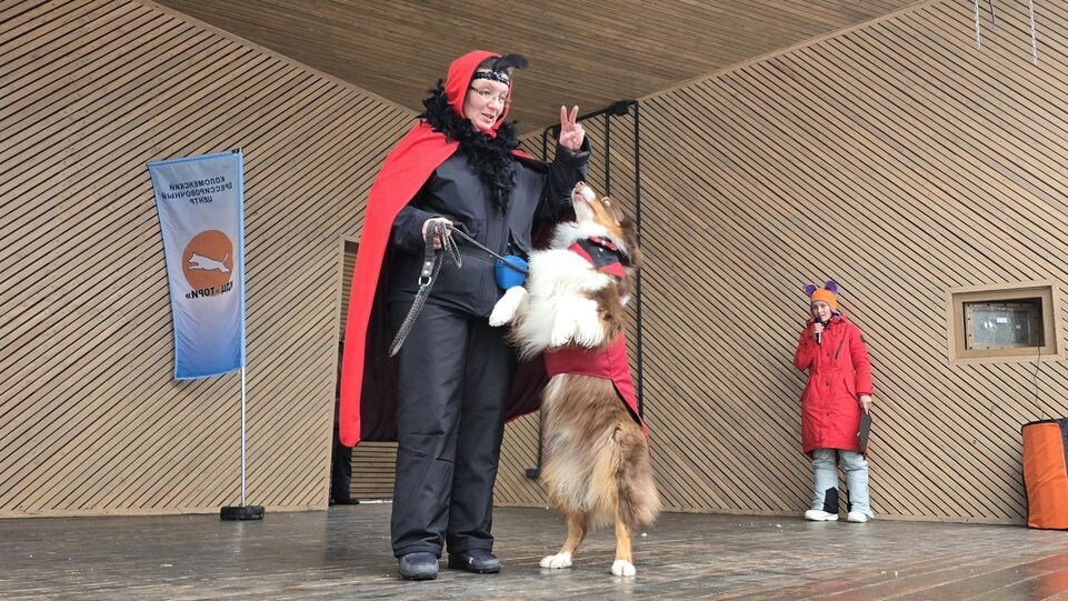    МедиаБанк Подмосковья / Марина Анисимова