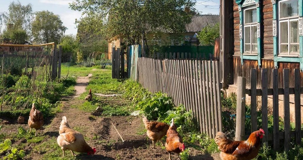 «Тебе здесь не место»: Как все мои друзья уехали в город за «красивой жизнью», а я остался в деревне и выиграл