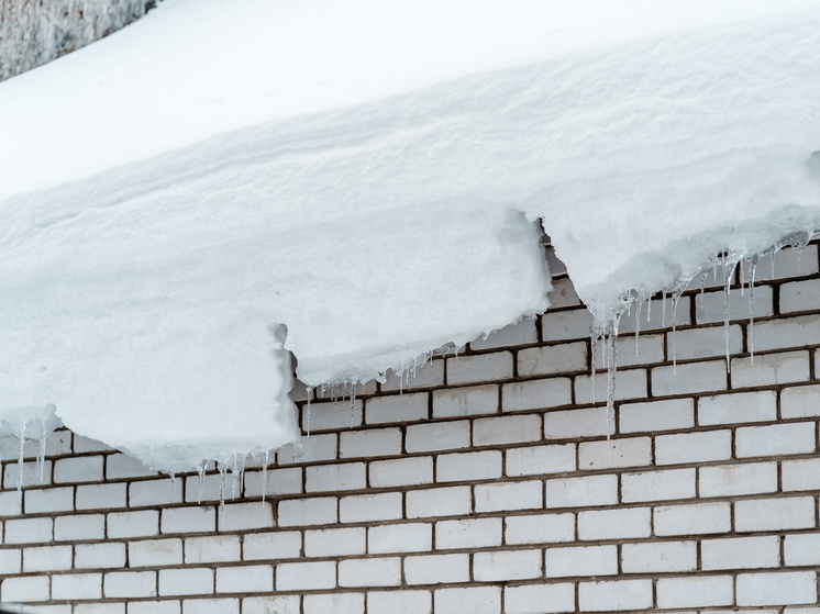   Максим Школьников