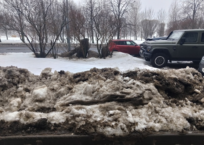 vk.com/ Комитет по благоустройству Санкт-Петербурга/ Мария Алексеева