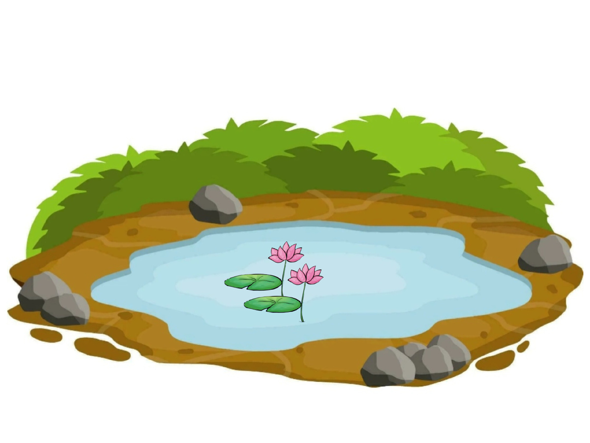 Логическое мышление. Задача на логику. Развивайся!