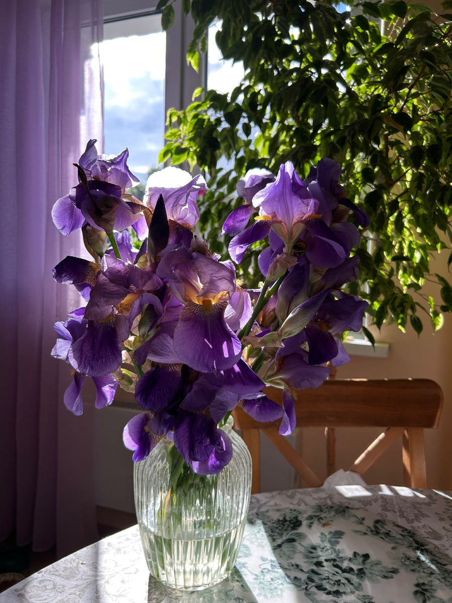 Ирисы в букете. Фото Мой второй сад
