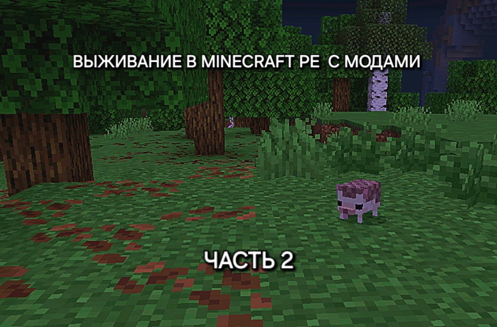 Ежидзе в лесу. А вы что думали - в тумане? )))