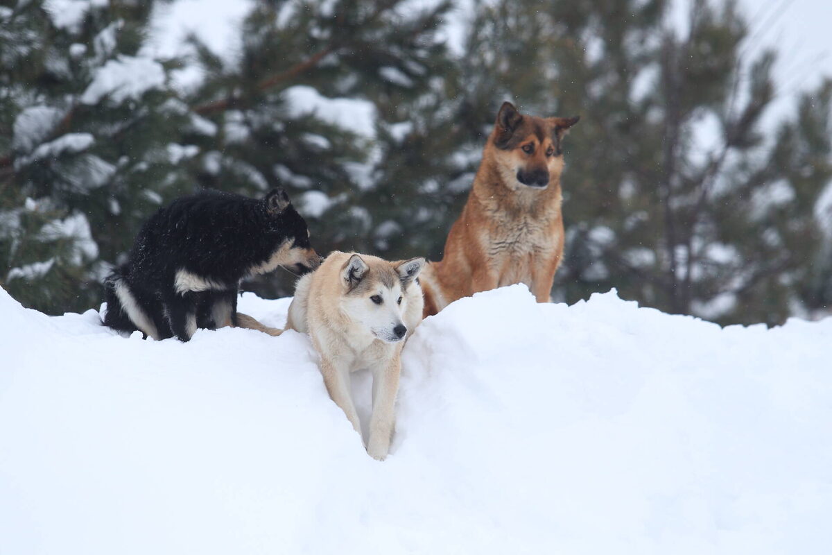 Фото: © Михаил Захаров / «Татар-информ»