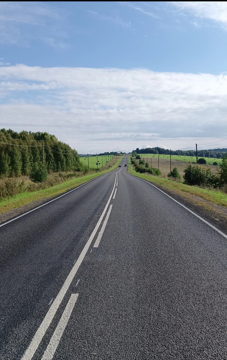 Трасса Целинное-Ельцовка