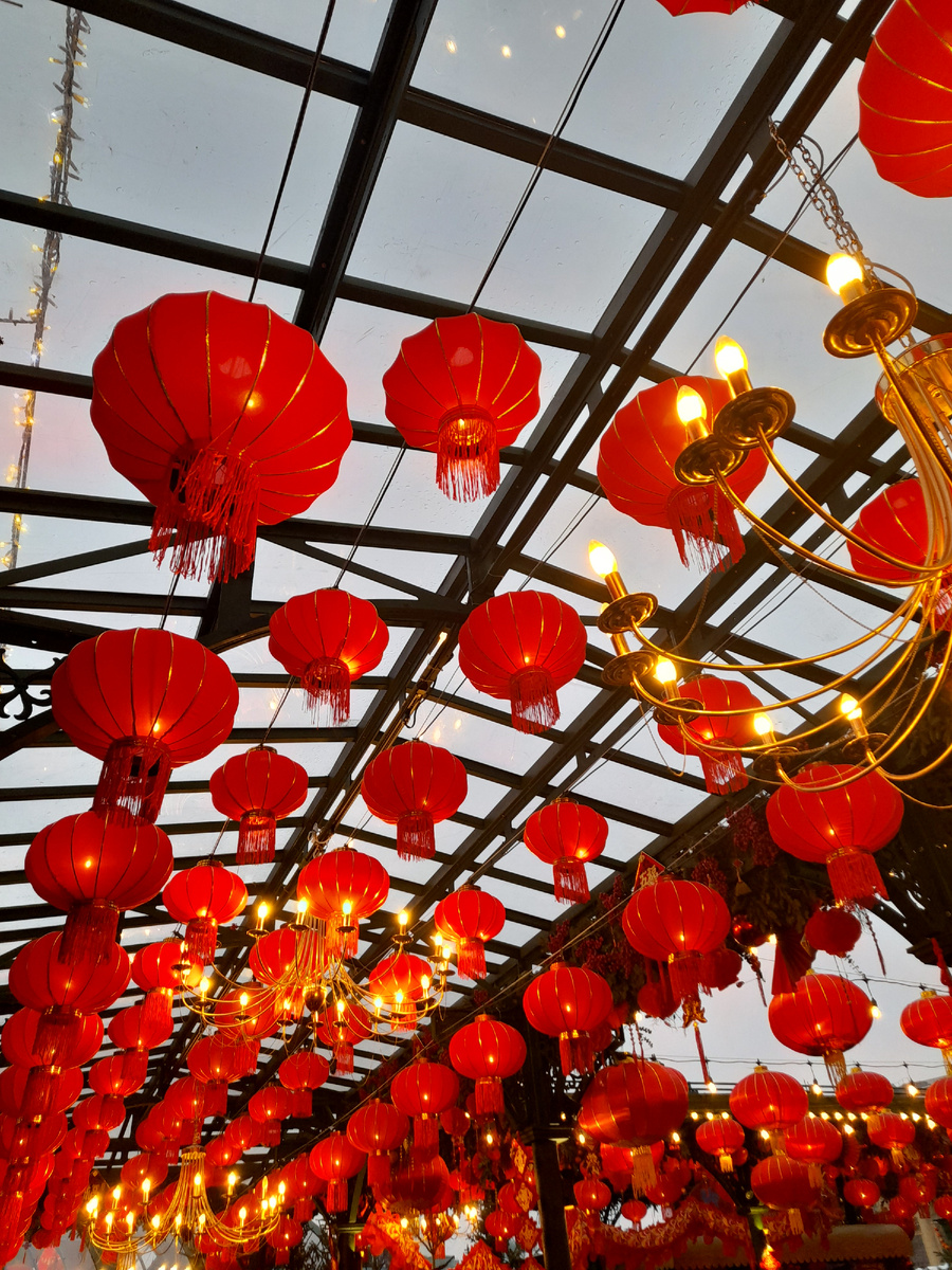 Волшебные птицы Востока