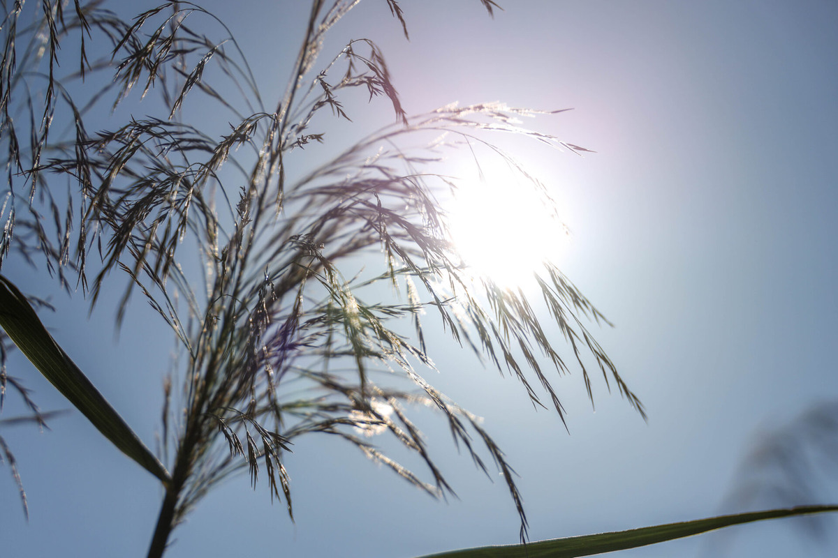    Фото: ТРК Таврия