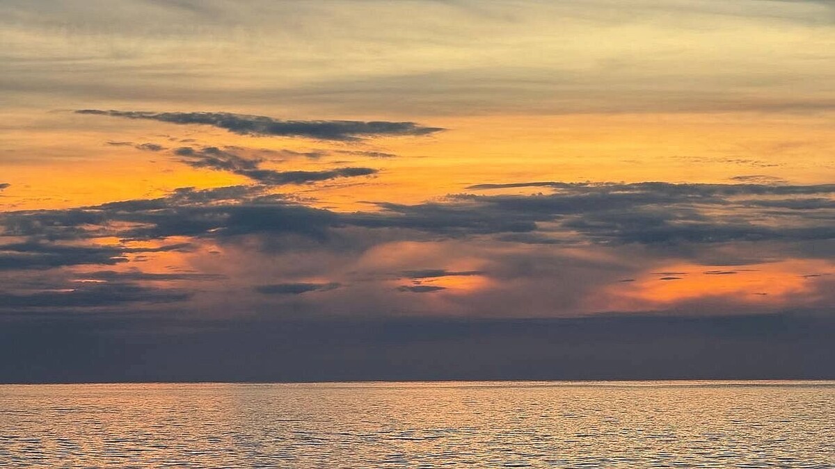    Фото: телеканал «Краснодар»