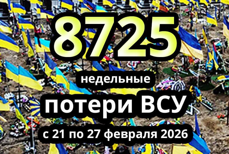   Недельные потери ВСУ