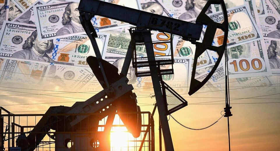    Andrey Nekrasov, РИА Новости / www.globallookpress.com