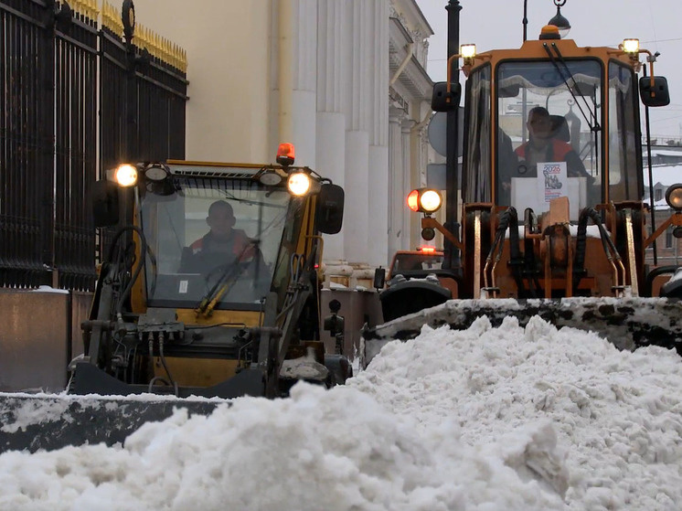     Фото: комитет по благоустройству Петербурга.