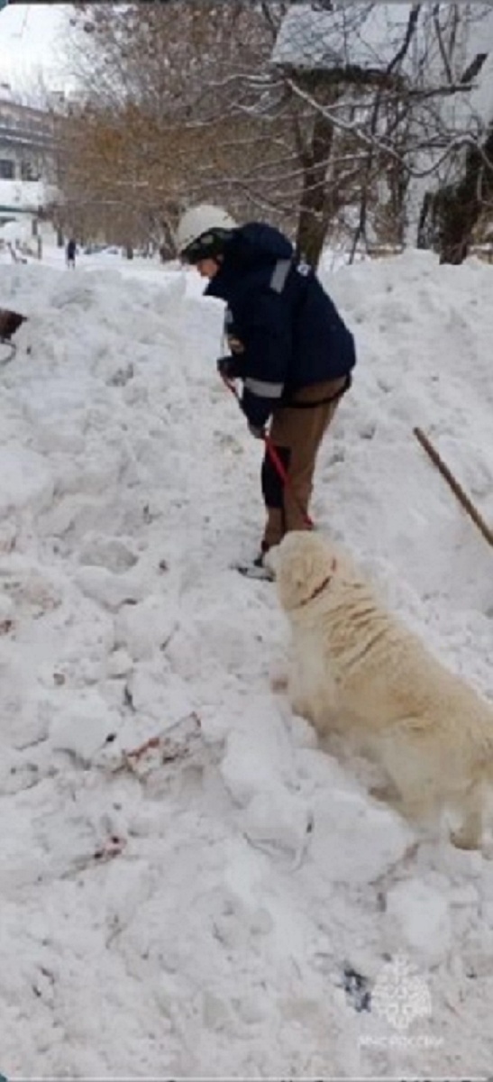    Главное управление МЧС России по РТ