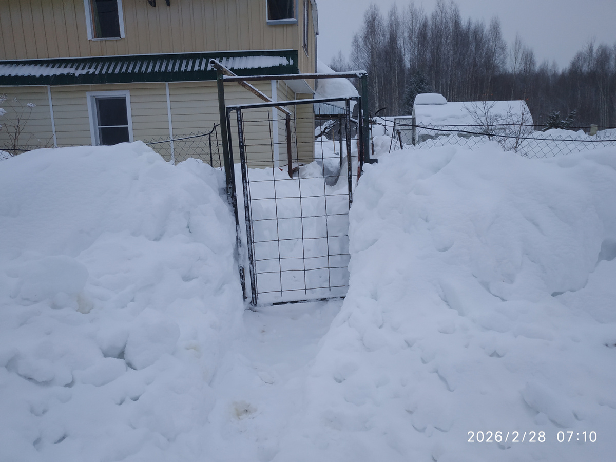 Эту калитку откапывал на следущий день целый час.