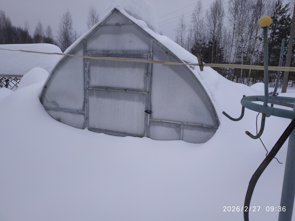 Огуречная теплица.