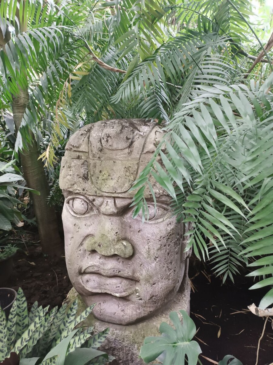 Отстранённость